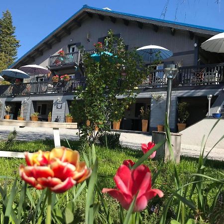 Bed and Breakfast L'Alpen Roc Caille Zewnętrze zdjęcie